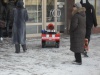 Встречаются и такие крошечные экземпляры))