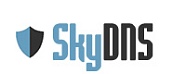 SkyDNS